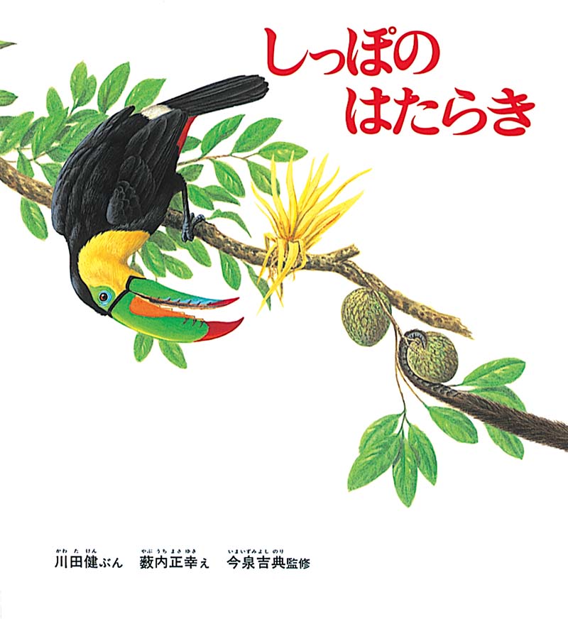 絵本『しっぽのはたらき』（文：川田 健
絵：薮内 正幸／監修：今泉 吉典／出版社：福音館書店）表紙