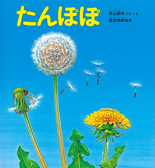 絵本『かたんぽぽ』（文・絵：平山 和子／監修：北村 四郎／出版社：福音館書店）表紙